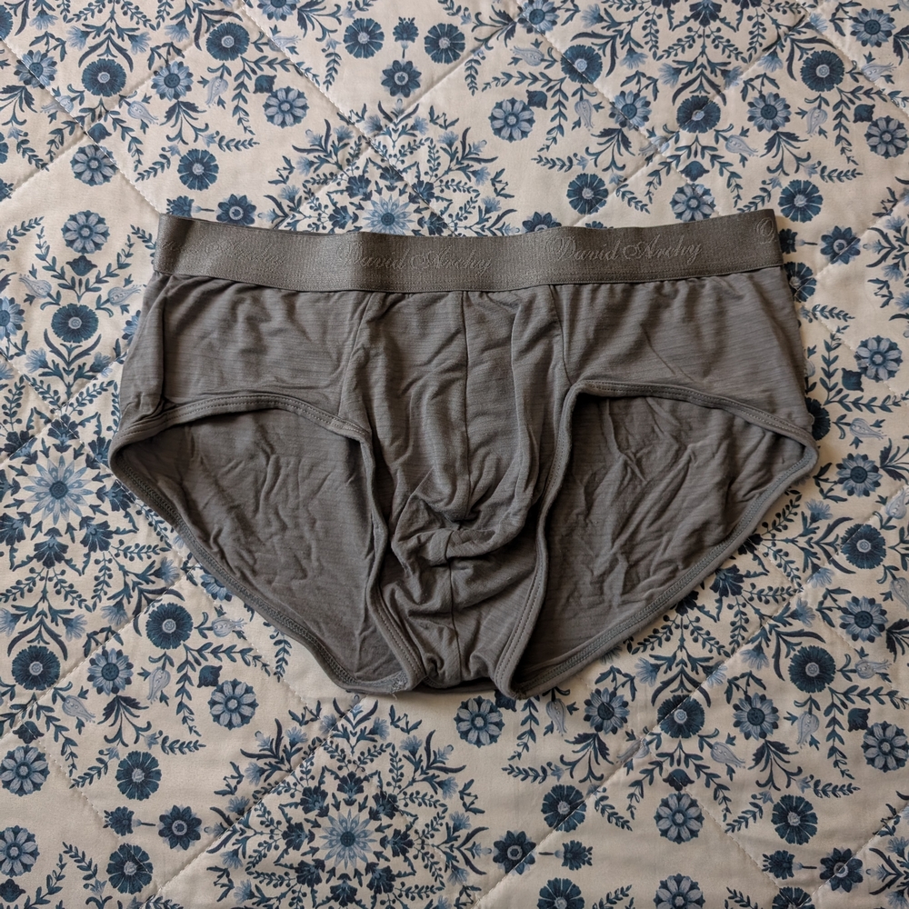 David Archy Men's Charcoal Briefs